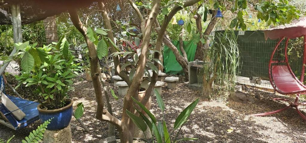 נופש דביר - סוויטות מהממות ובקתה כפרית עם ג'קוזי ליד הכנרת - יש מקלט צמוד Villa Migdal Ruang foto